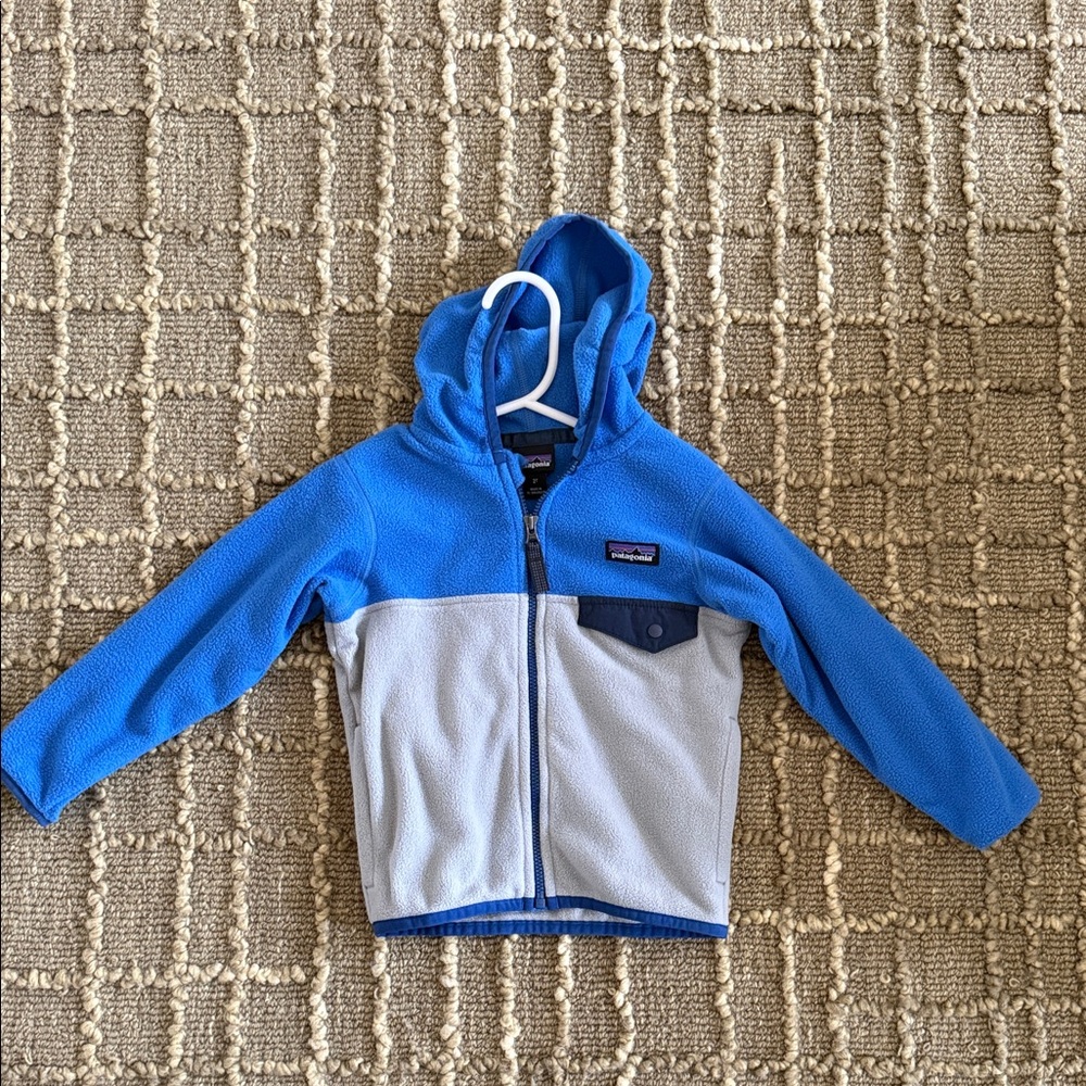 Patagonia Kids Two-Tone Fleece Hoodie